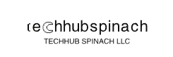 TECHHUB SPINACH LLC
